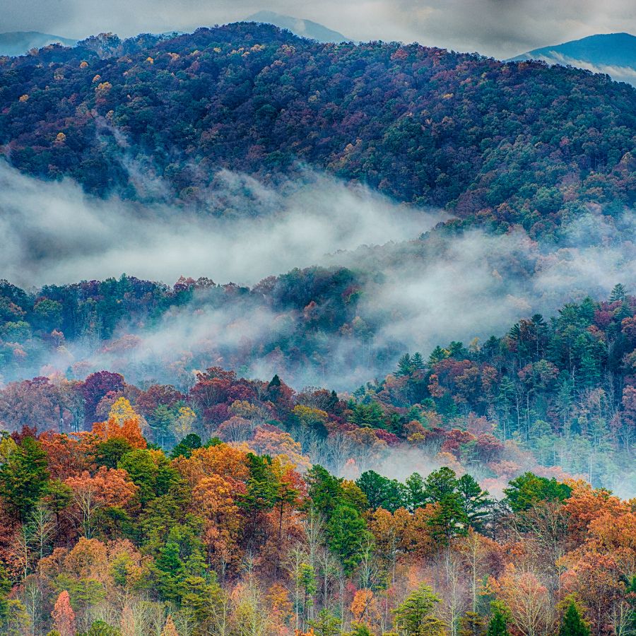 smoky mountains